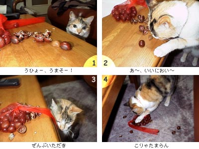 衝撃スクープ写真