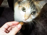 ぺろり