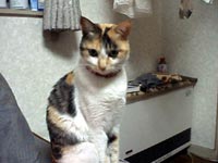 正面じゃないケド