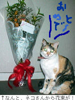 帰ってビックリ！