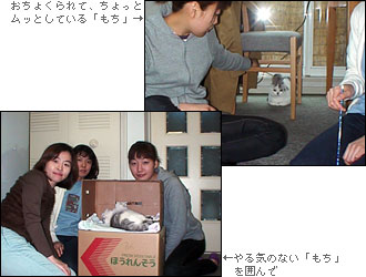 もちもち〜