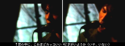 From ロケットの樹の下で